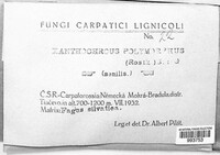 Image Associated With the Occurence